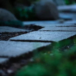 大正由布の花イメージ