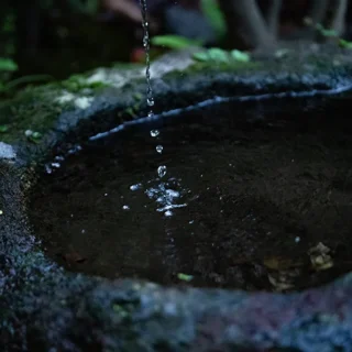 大正由布の花イメージ