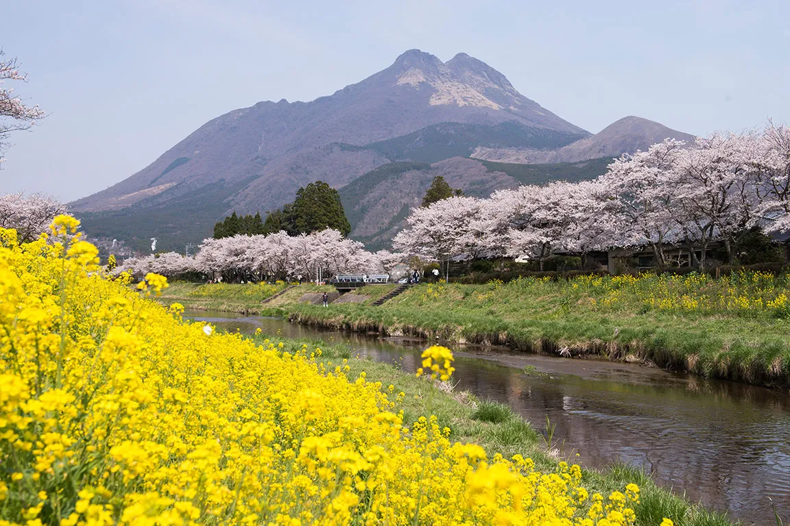 由布岳