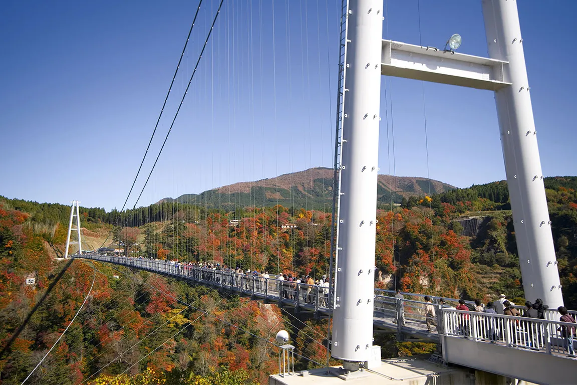 九重“夢”大吊橋